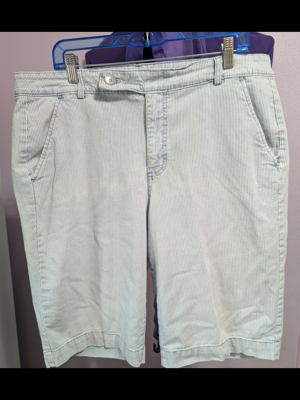 Bandolino Light Blue Pinstripe Bermuda Shorts
